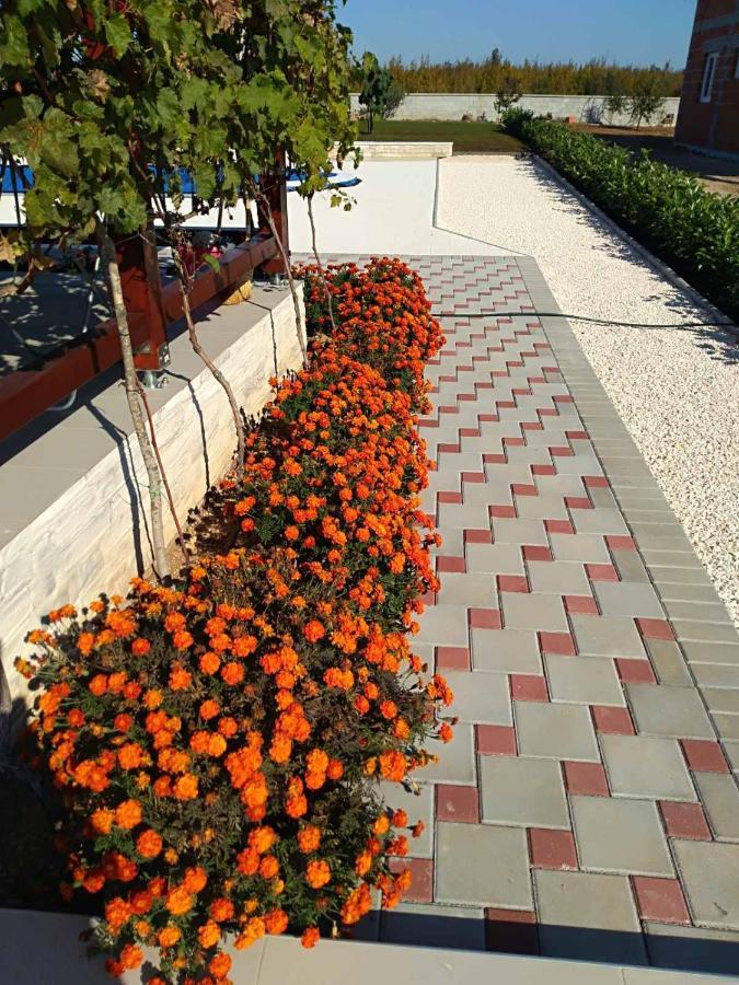 Villa Verbena Mala Cista Δωμάτιο φωτογραφία