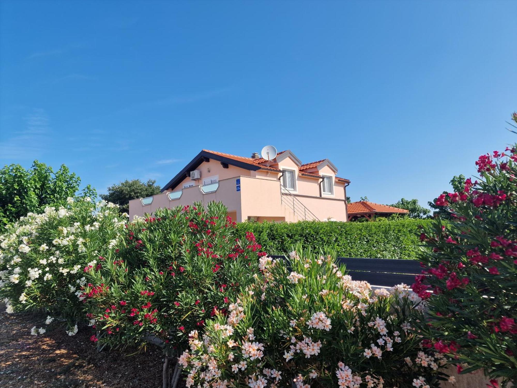 Villa Verbena Mala Cista Εξωτερικό φωτογραφία