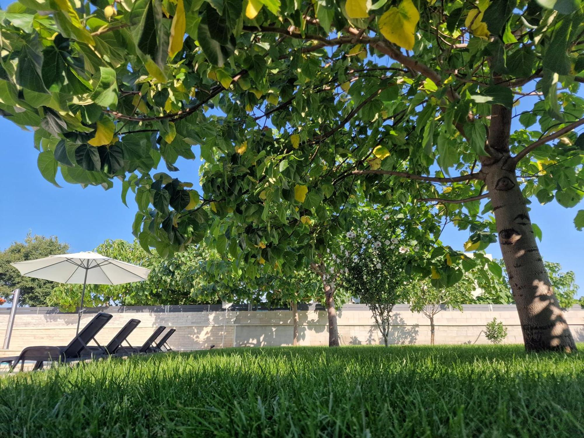 Villa Verbena Mala Cista Εξωτερικό φωτογραφία